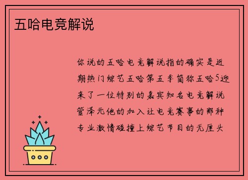 五哈电竞解说